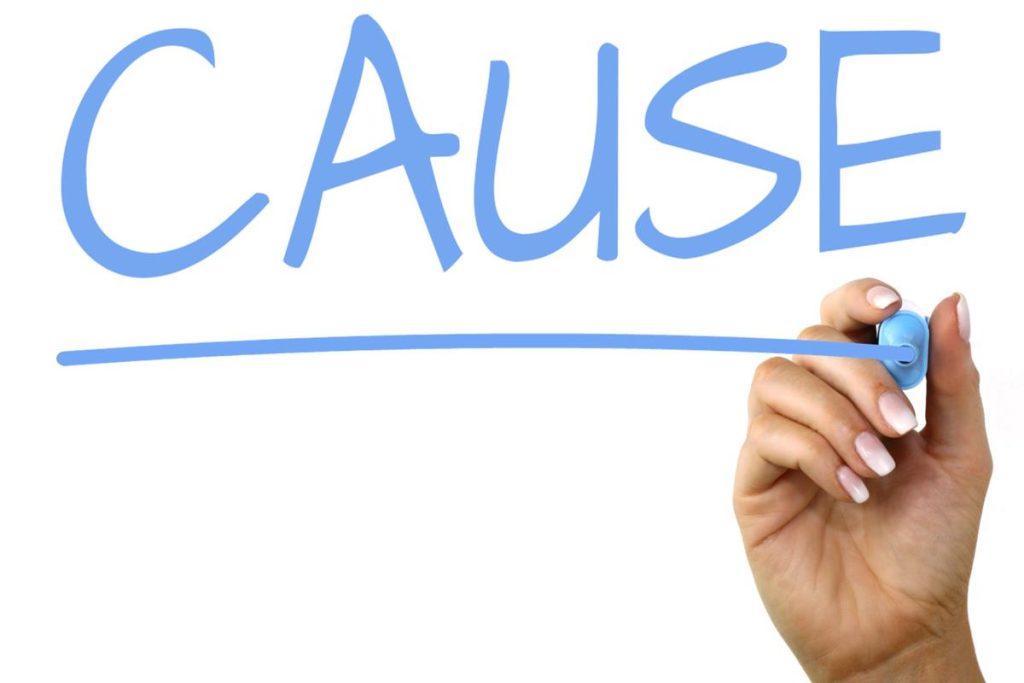 causes-a-of-autism-spectrum-disorder